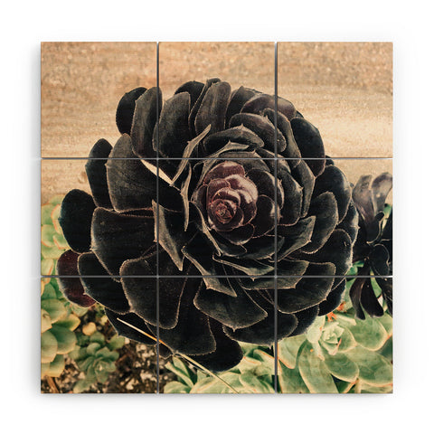 Maybe Sparrow Photography The Succulent Wood Wall Mural