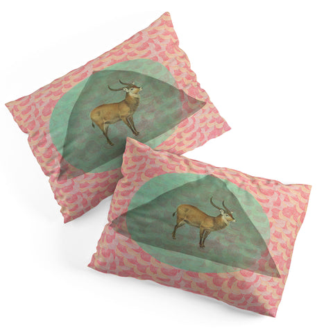 Maybe Sparrow Photography The Waterbuck Pillow Shams