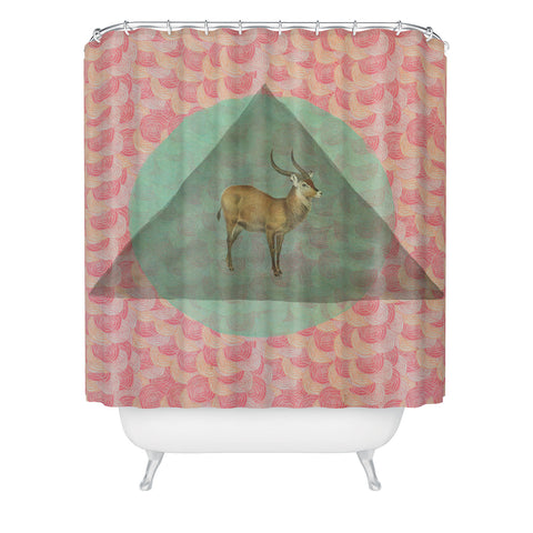 Maybe Sparrow Photography The Waterbuck Shower Curtain