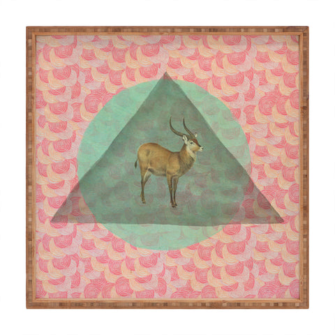 Maybe Sparrow Photography The Waterbuck Square Tray