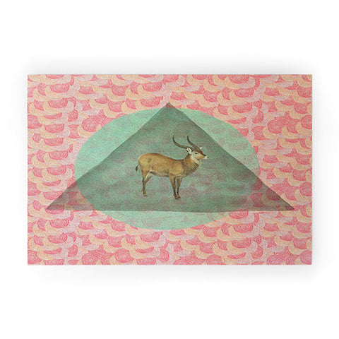 Maybe Sparrow Photography The Waterbuck Welcome Mat