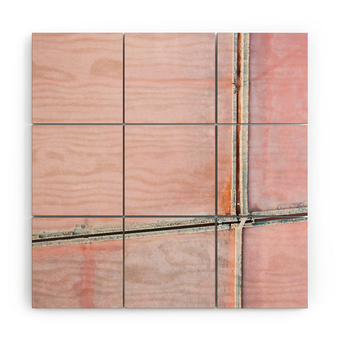 Michael Schauer Pink Salt Lake from above Wood Wall Mural