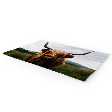 Michael Schauer Scottish Highland Cattle Area Rug