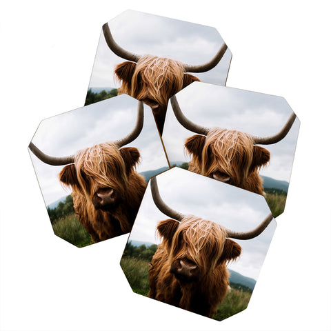 Michael Schauer Scottish Highland Cattle Coaster Set