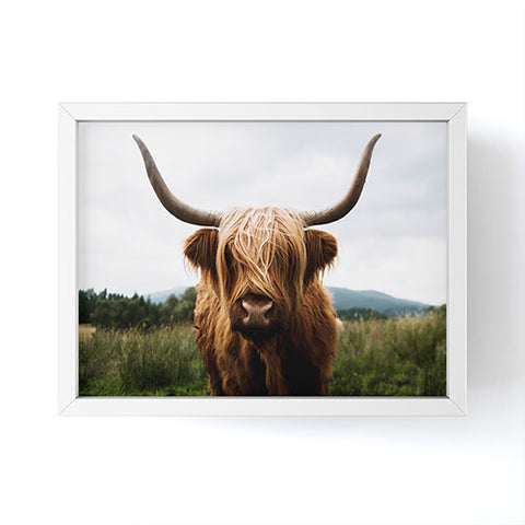 Michael Schauer Scottish Highland Cattle Framed Mini Art Print
