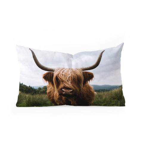 Michael Schauer Scottish Highland Cattle Oblong Throw Pillow