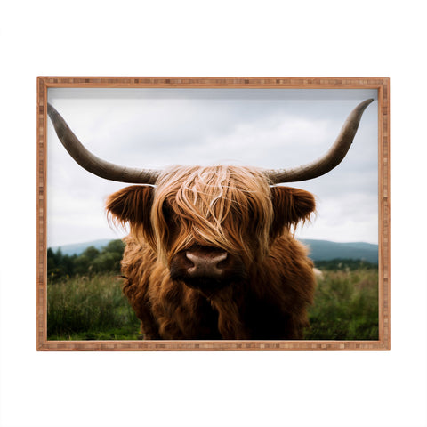 Michael Schauer Scottish Highland Cattle Rectangular Tray