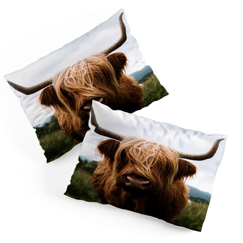 Michael Schauer Scottish Highland Cattle Pillow Shams
