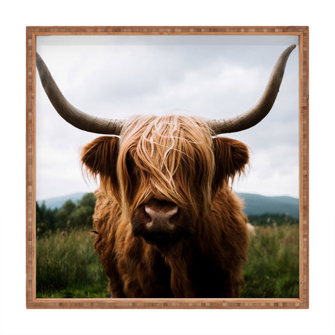 Michael Schauer Scottish Highland Cattle Square Tray
