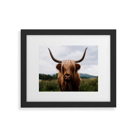 Michael Schauer Scottish Highland Cattle Framed Art Print