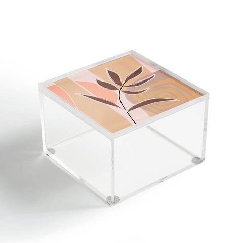 Mirimo Desert Life Acrylic Box