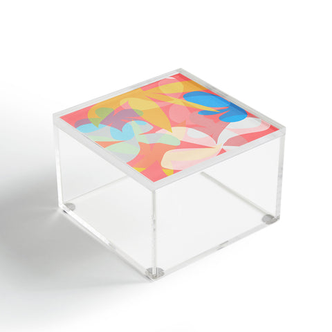 Mirimo Madeira Acrylic Box