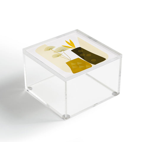 Mirimo Modern Vases Acrylic Box