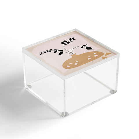 Mirimo Terracotta Vase Acrylic Box