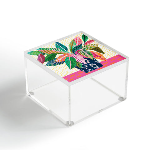 Misha Blaise Design All Tomorrows Parties Acrylic Box