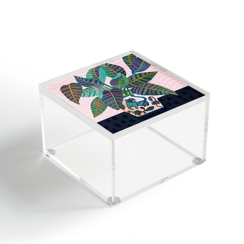 Misha Blaise Design Wild Cat Acrylic Box