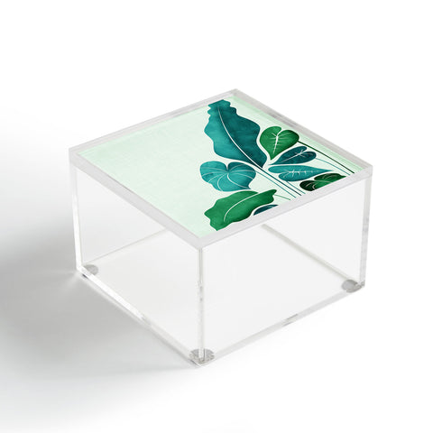 Modern Tropical Cacophony Acrylic Box