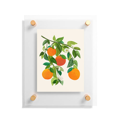 Modern Tropical Oranges and Blossoms II Tropical Fruit Floating Acrylic Print