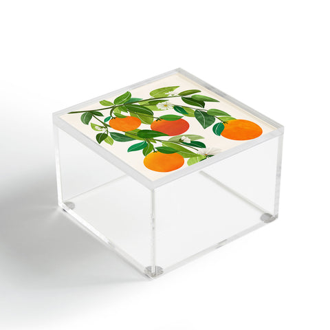 Modern Tropical Oranges and Blossoms II Tropical Fruit Acrylic Box