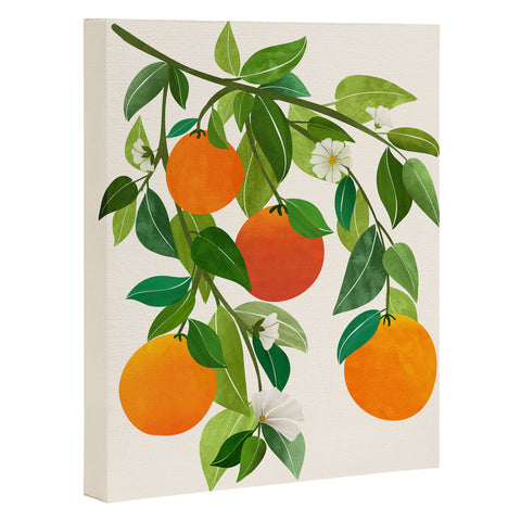 Modern Tropical Oranges and Blossoms II Tropical Fruit Art Canvas