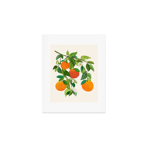 Modern Tropical Oranges and Blossoms II Tropical Fruit Art Print