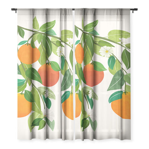 Modern Tropical Oranges and Blossoms II Tropical Fruit Sheer Non Repeat