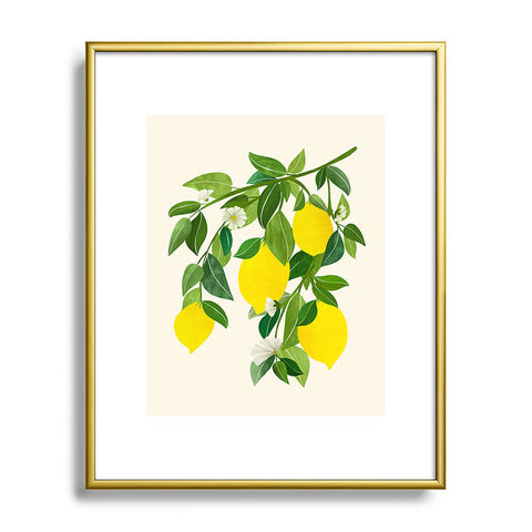 Modern Tropical Summer Lemons Tropical Fruit Metal Framed Art Print