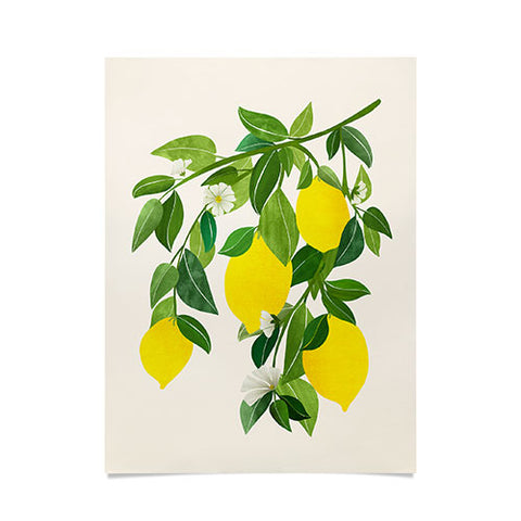 Modern Tropical Summer Lemons Tropical Fruit Poster