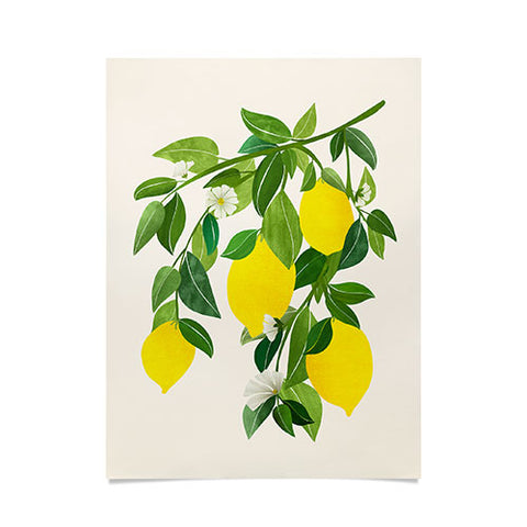 Modern Tropical Summer Lemons Tropical Fruit Poster