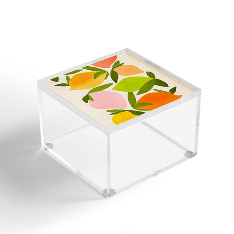 Modern Tropical Wild Mango Acrylic Box