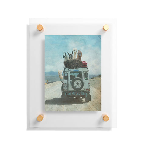 Monika Strigel 1P ALPACA LAMA WANDERLUST Floating Acrylic Print