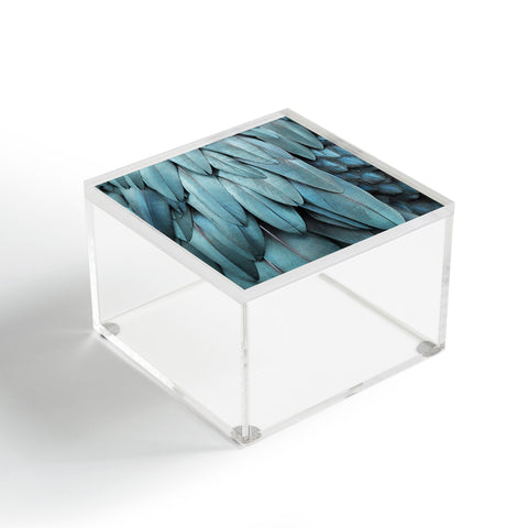 Monika Strigel 1P FEATHERS METALLIC BLUE Acrylic Box