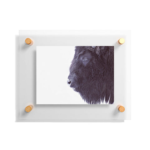 Monika Strigel BLACK BUFFALO Floating Acrylic Print