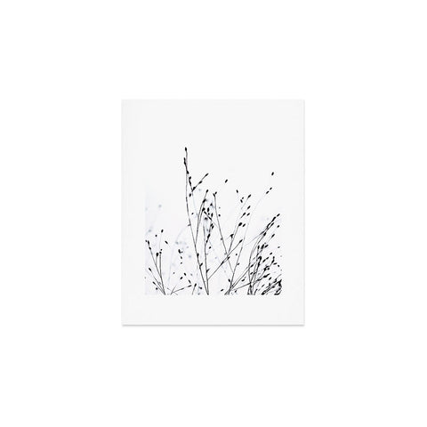 Monika Strigel BLACK GRASS Art Print