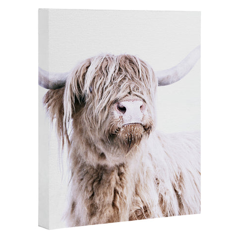 Monika Strigel HIGHLAND CATTLE Art Canvas
