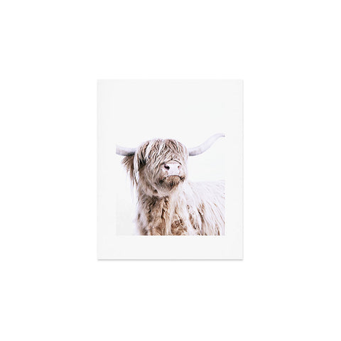 Monika Strigel HIGHLAND CATTLE Art Print
