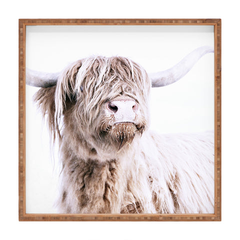 Monika Strigel HIGHLAND CATTLE Square Tray