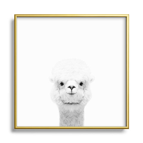 Monika Strigel SMILING ALPACA BW Metal Square Framed Art Print