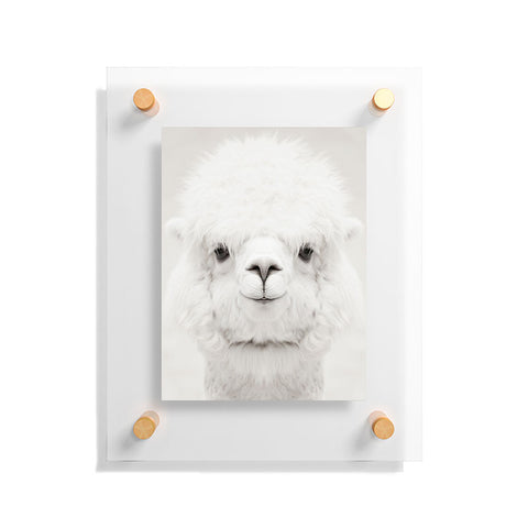 Monika Strigel SMILING ALPACA by MS Floating Acrylic Print