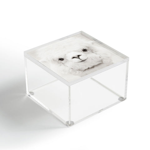 Monika Strigel SMILING ALPACA by MS Acrylic Box