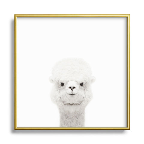 Monika Strigel SMILING ALPACA Metal Square Framed Art Print