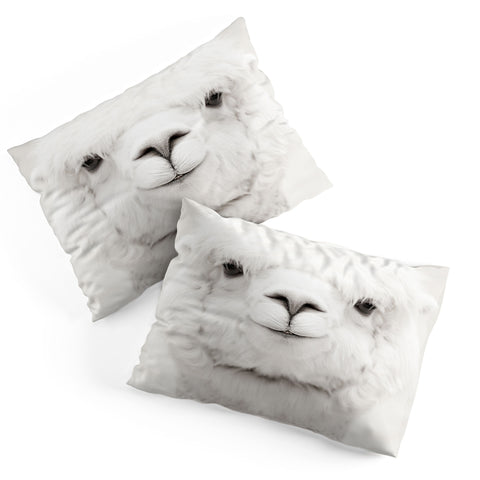 Monika Strigel SMILING ALPACA Pillow Shams