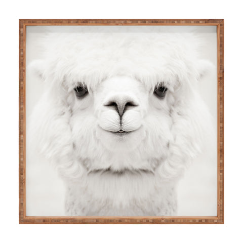Monika Strigel SMILING ALPACA Square Tray