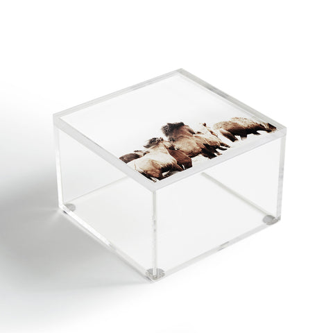 Monika Strigel WILD AND FREE 2 HORSES OF ICE Acrylic Box