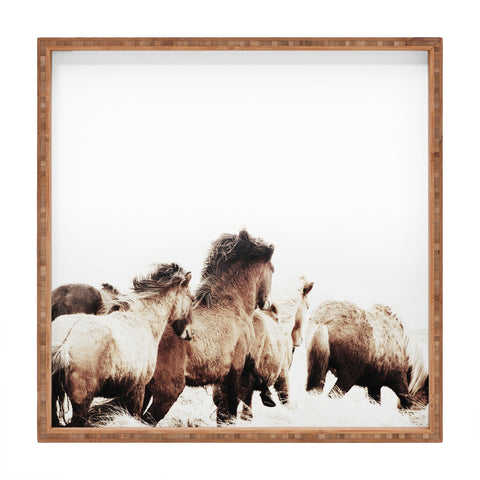 Monika Strigel WILD AND FREE 2 HORSES OF ICE Square Tray