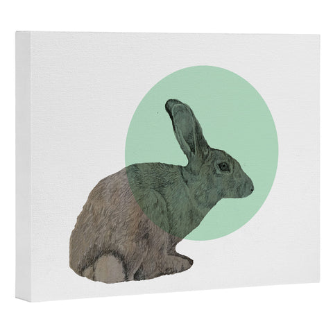 Morgan Kendall aqua rabbit Art Canvas