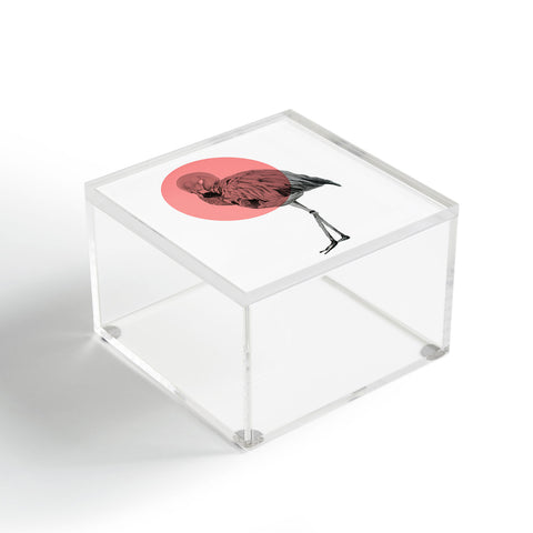 Morgan Kendall coral flamingo Acrylic Box
