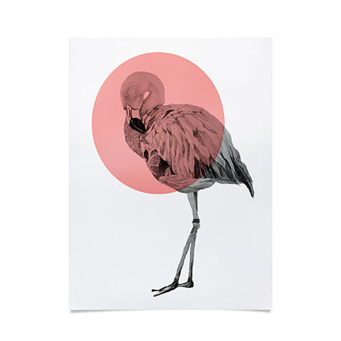Morgan Kendall coral flamingo Poster