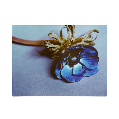 Morgan Kendall fleur Poster