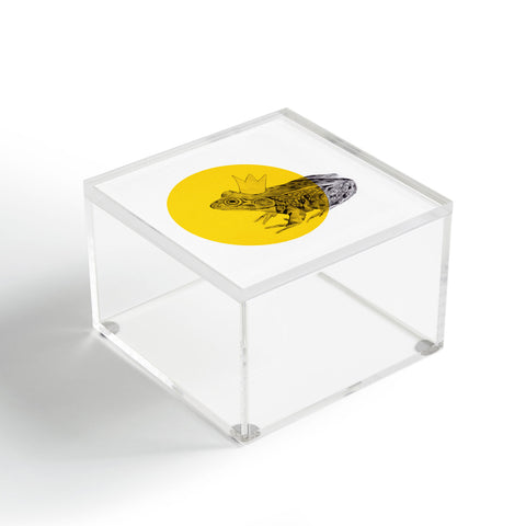 Morgan Kendall Gold Frog Prince Acrylic Box